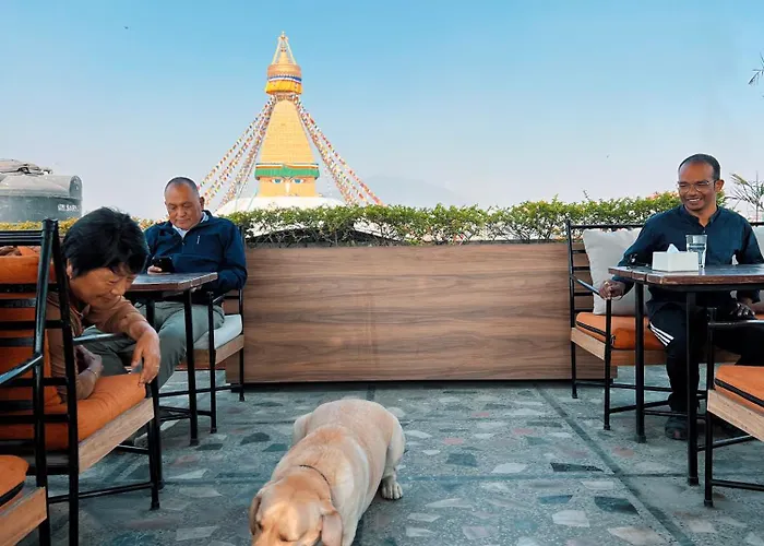 Hotel Bodhiz